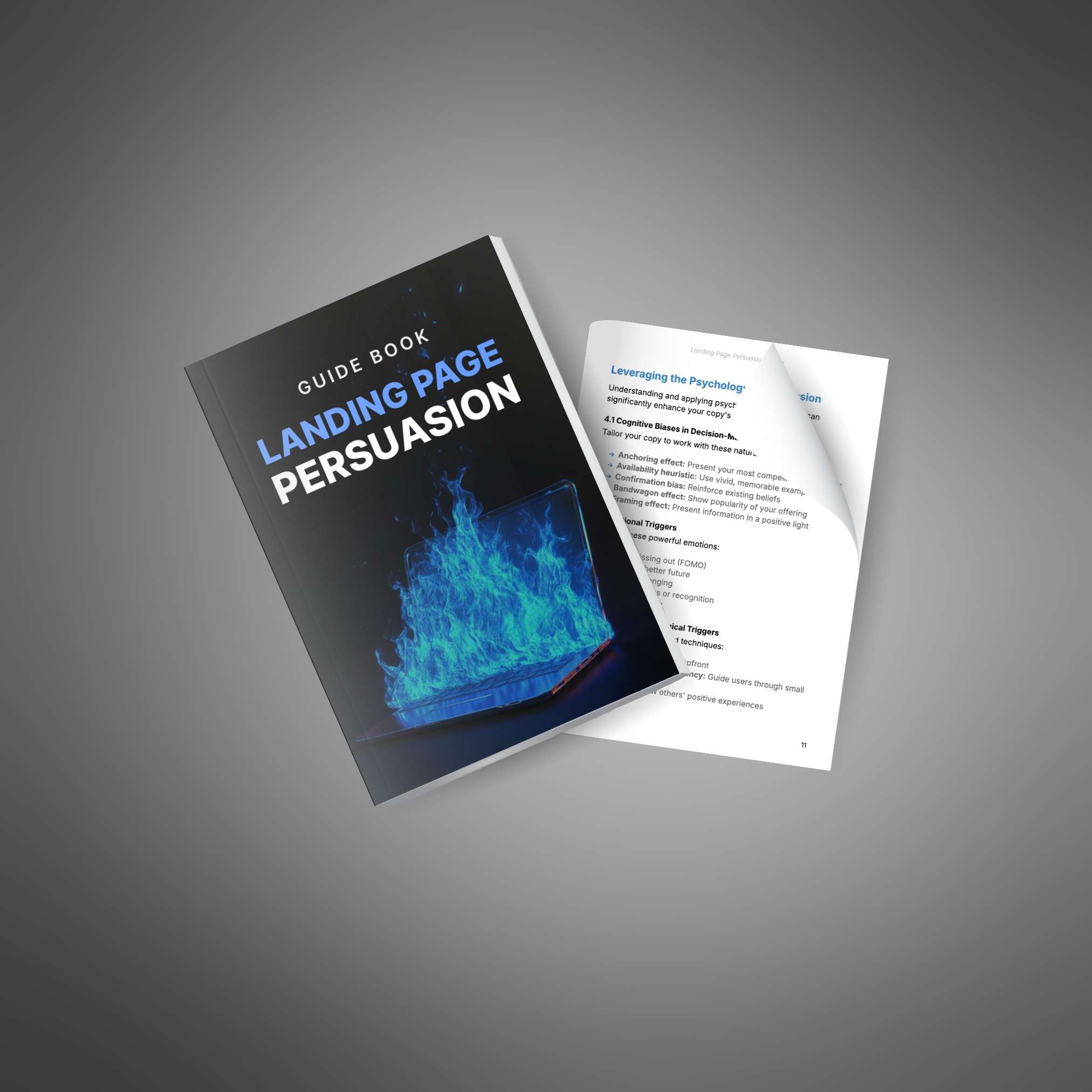 Landing Page Persuasion