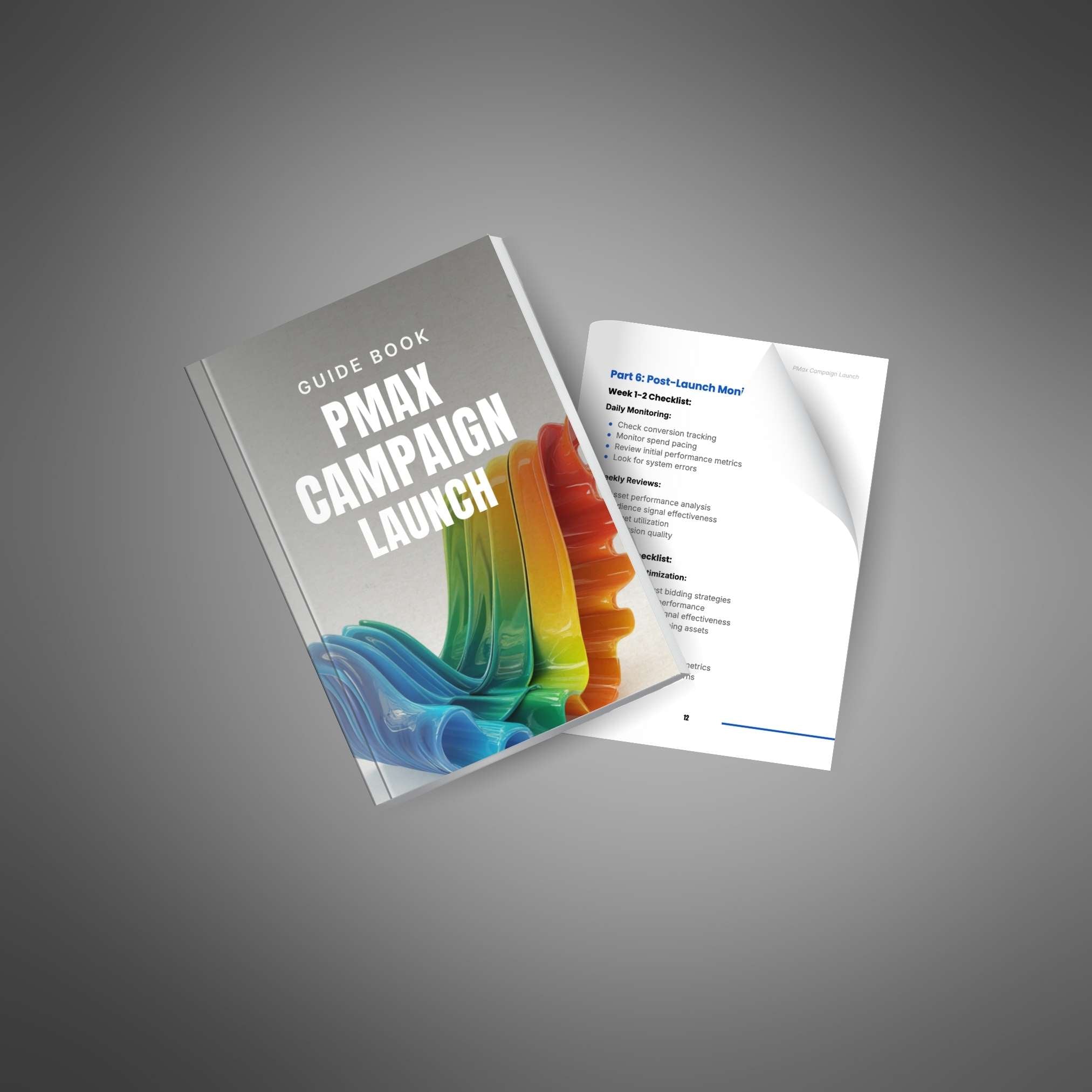 Performance Max Campaign Launch