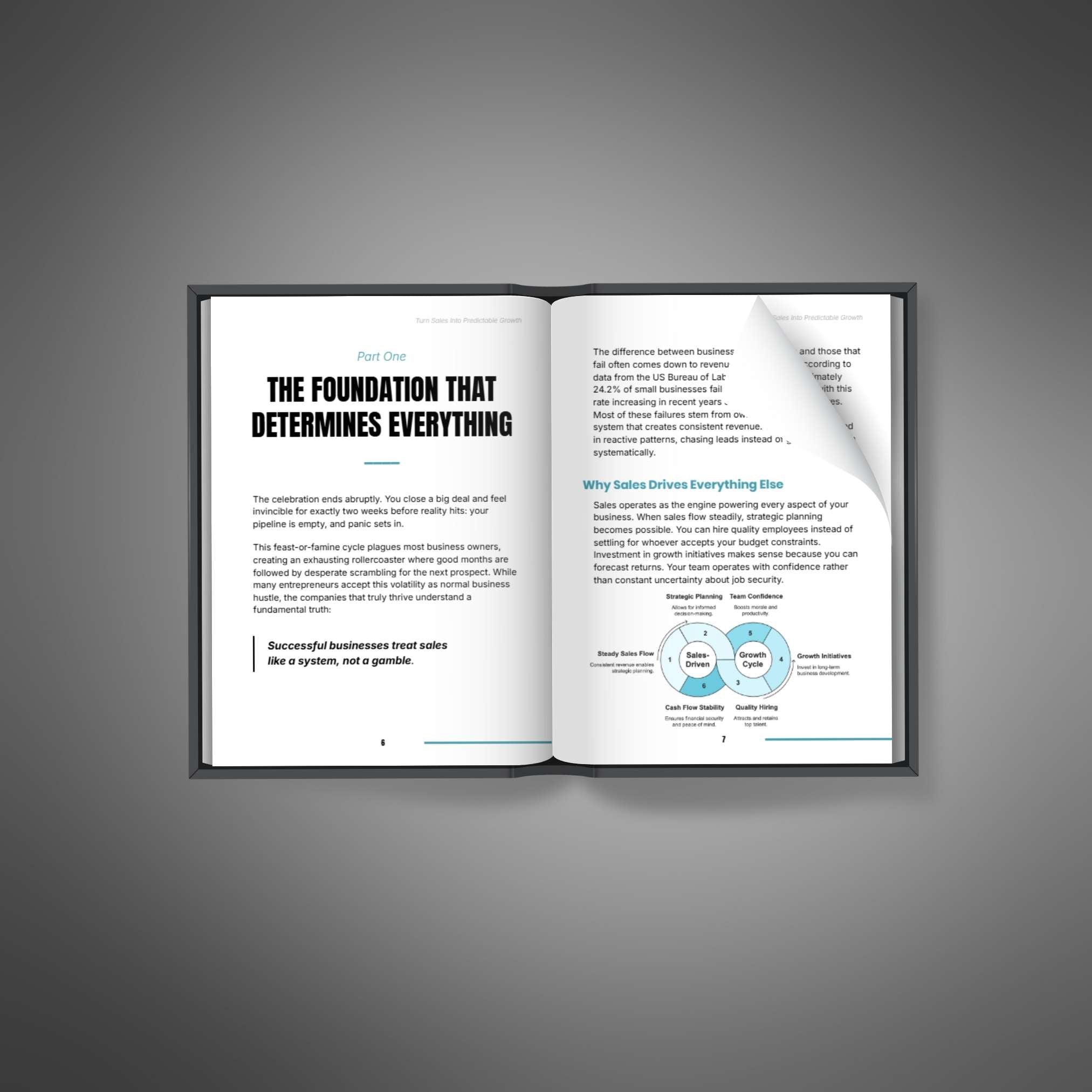 Turn Sales Into Predictable Growth